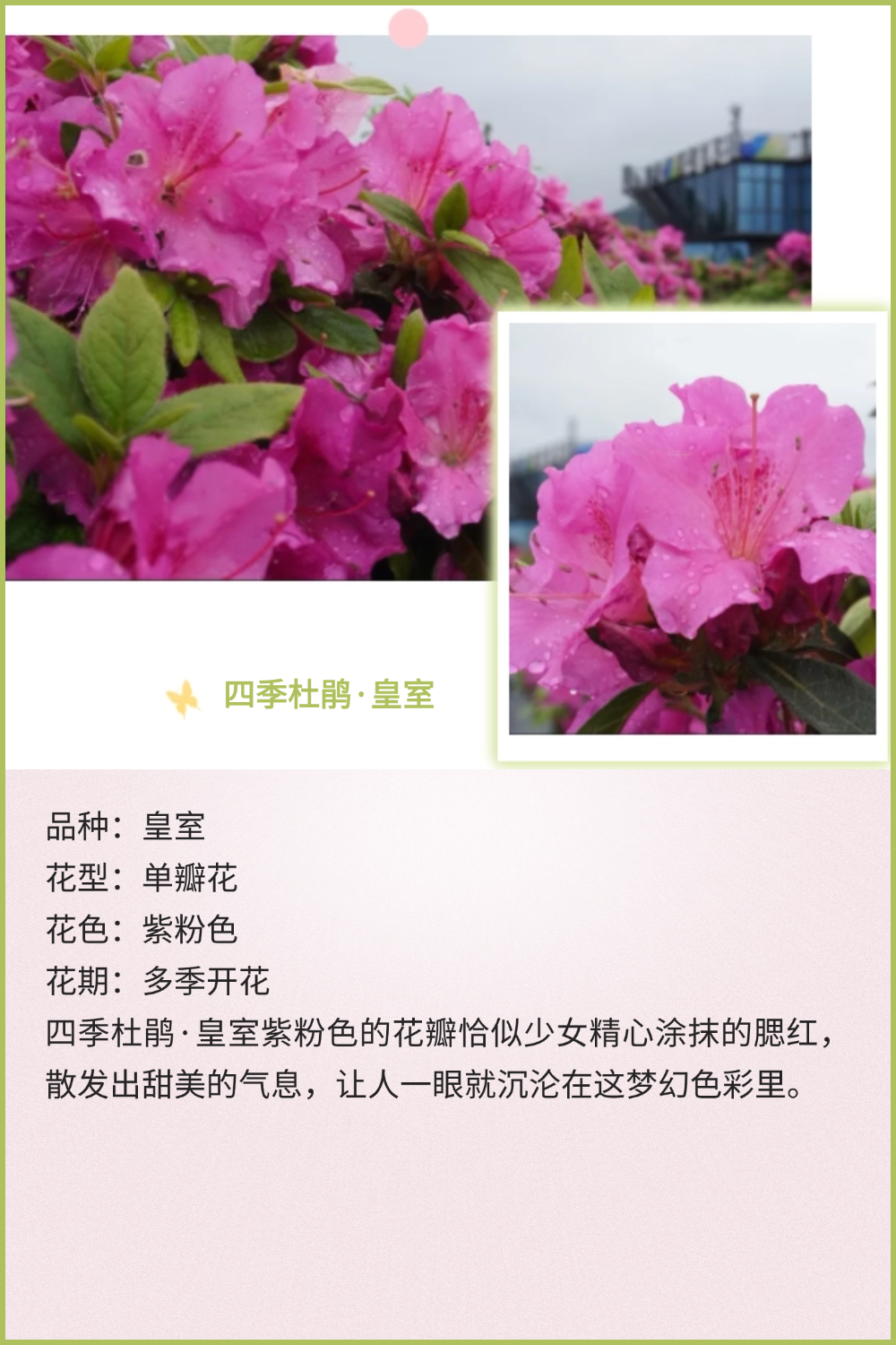 稿定设计-11 稿定设计-11