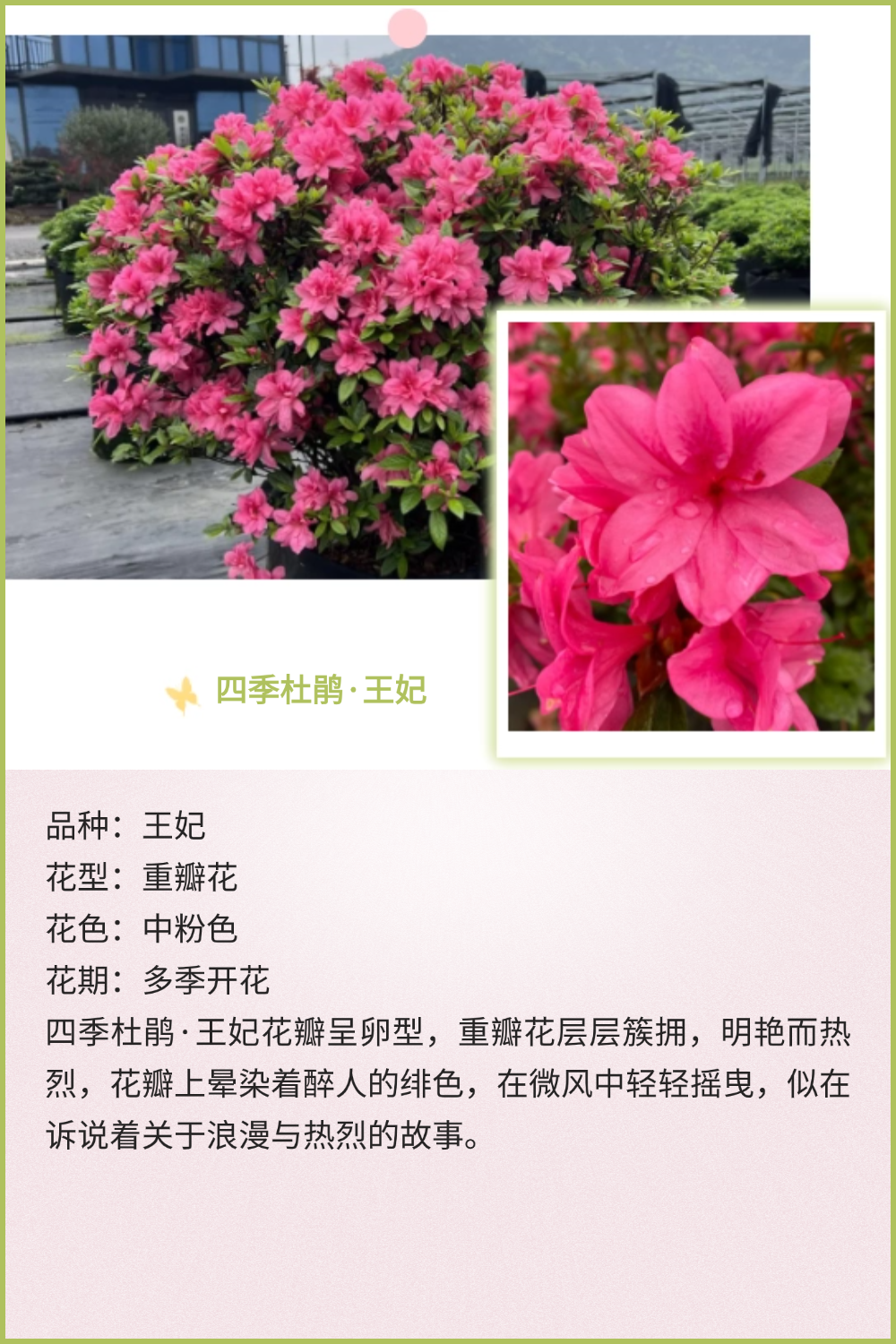 稿定设计-1 稿定设计-1