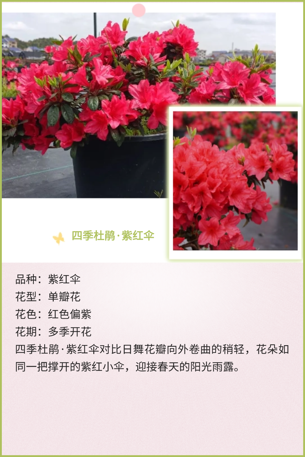 稿定设计-10 稿定设计-10