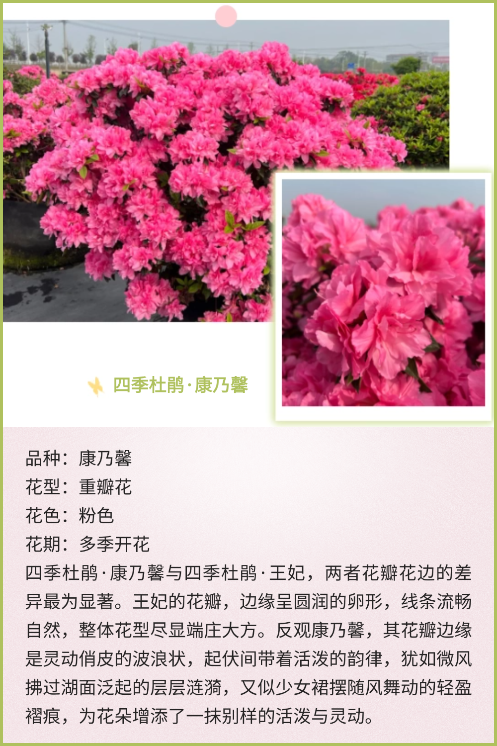 稿定设计-2 稿定设计-2