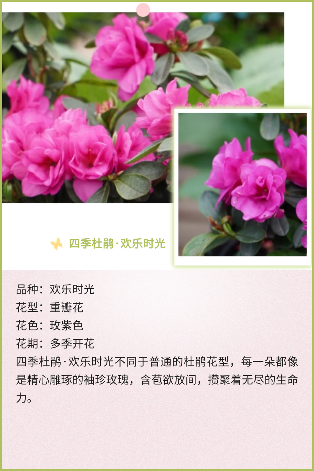 稿定设计-3 稿定设计-3