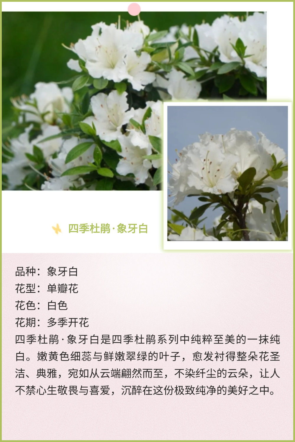 稿定设计-8 稿定设计-8