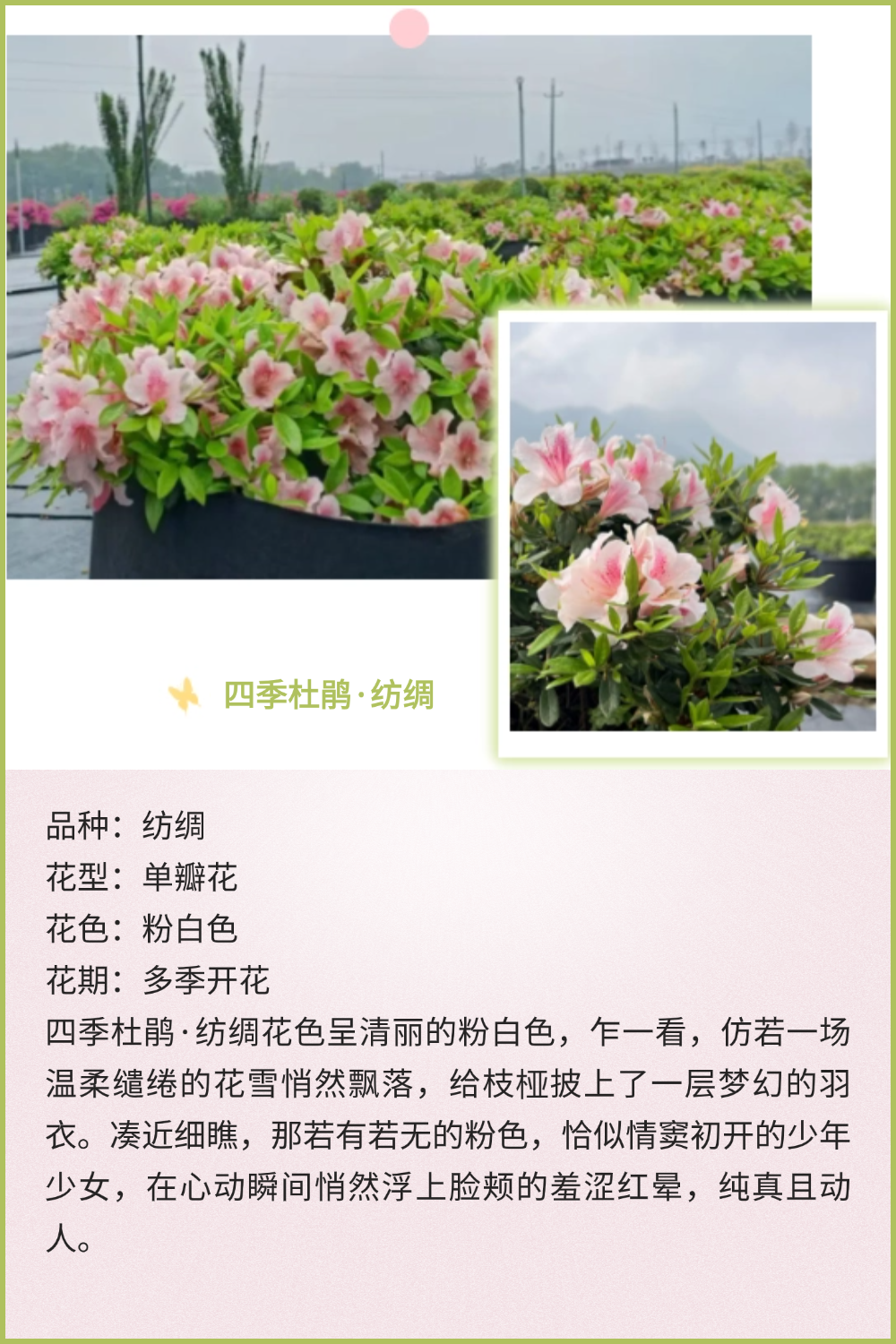 稿定设计-12 稿定设计-12