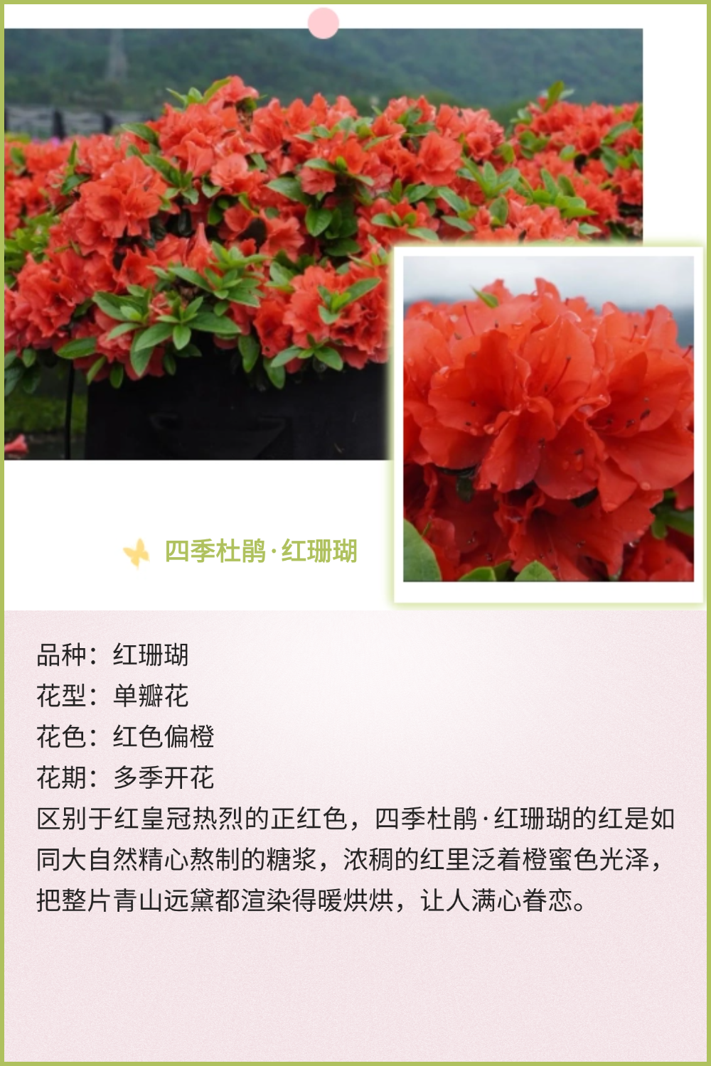 稿定设计-7 稿定设计-7