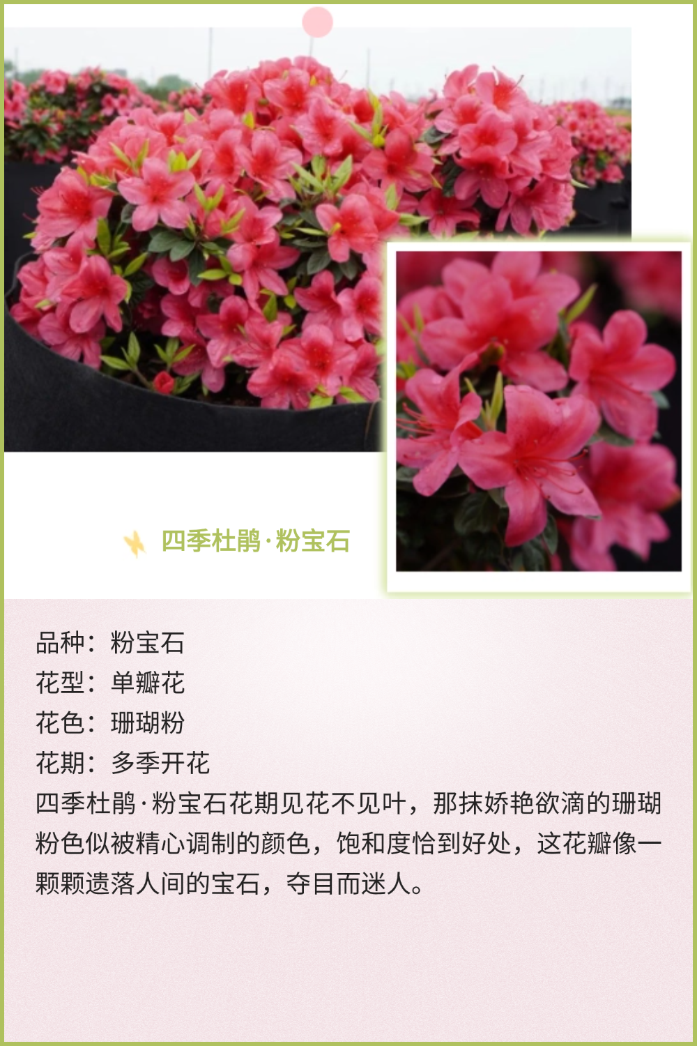 稿定设计-5 稿定设计-5