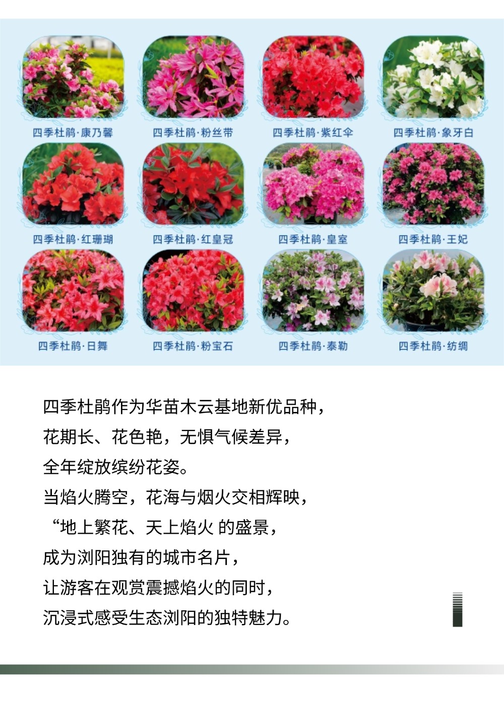 稿定设计-6