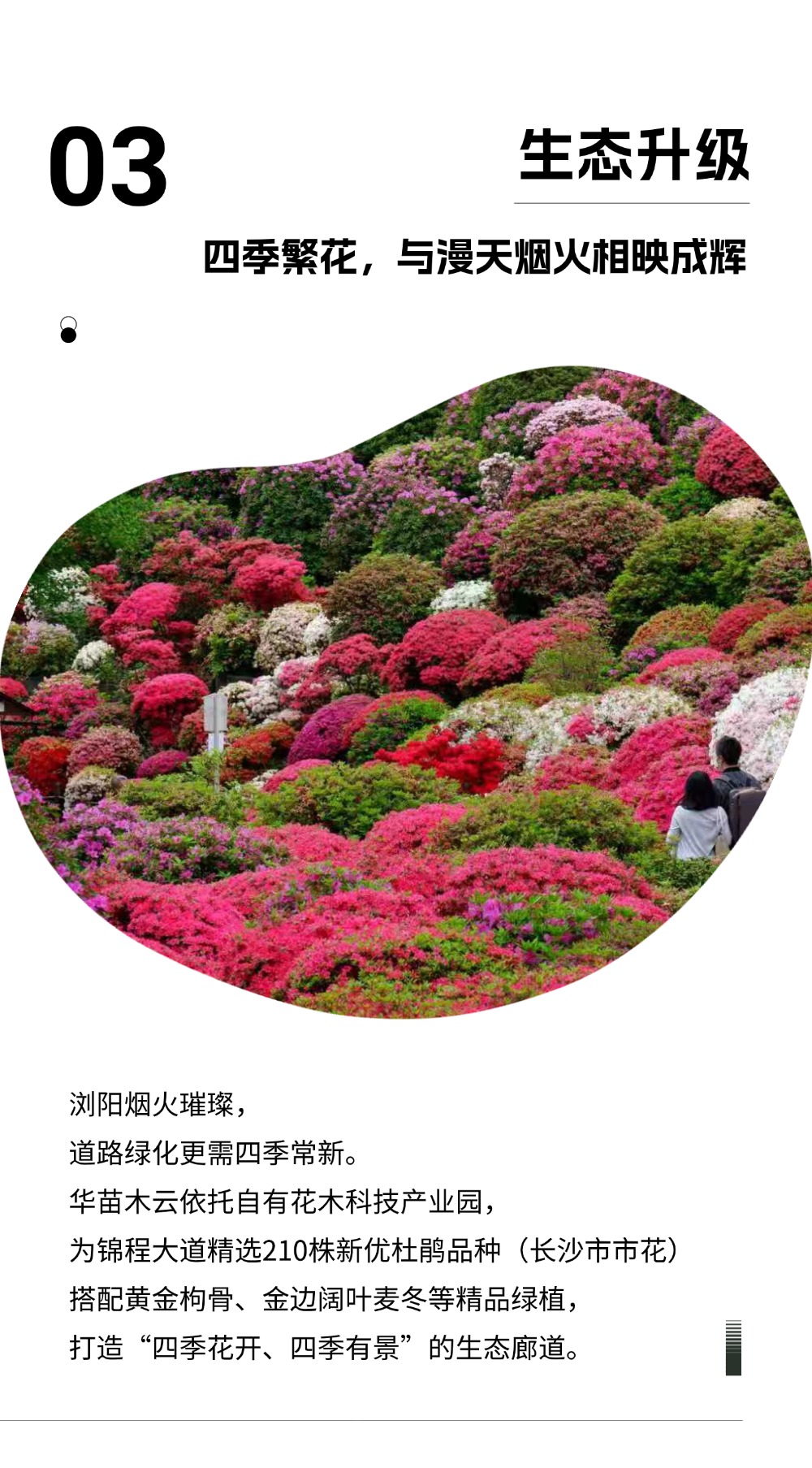 稿定设计-5
